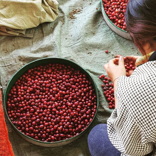 Kaffeekultur und Tradition weltweit